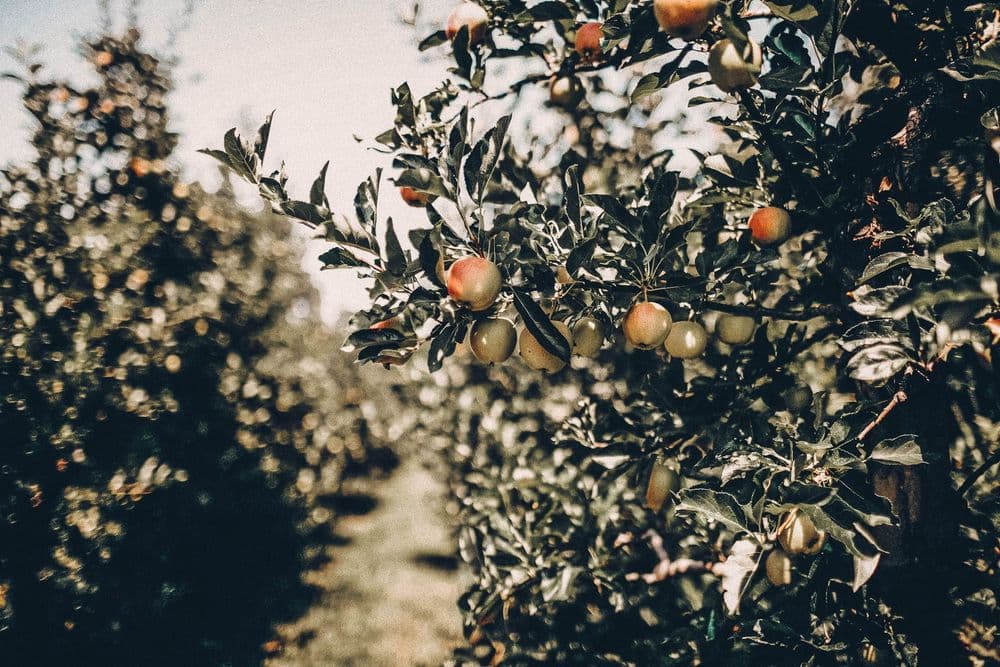 liana-mikah-PyJCcS09RTg-unsplash.jpg
