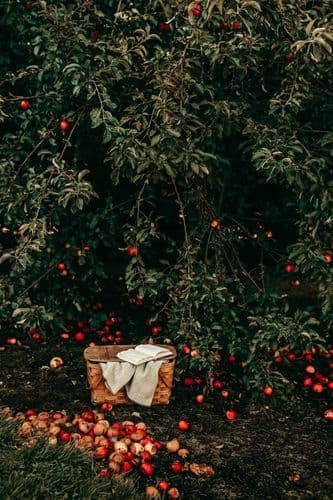 liana-mikah-YJWcZkXlGlI-unsplash-2.jpg
