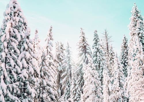 stanley-dai-QLfjlyEamV4-unsplash.jpg